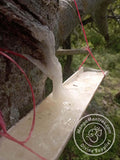 More Copal de la Penca 100% Pure Organic from Mexico! Highest Grade Fresh Unprocessed White Copal for Protection, Blessing & Purification!