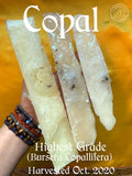 Highest Grade White Copal: Copal de la Penca 100% Pure Organic from Mexico